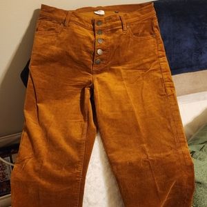 Cabi Button Fly Skinny Jeans